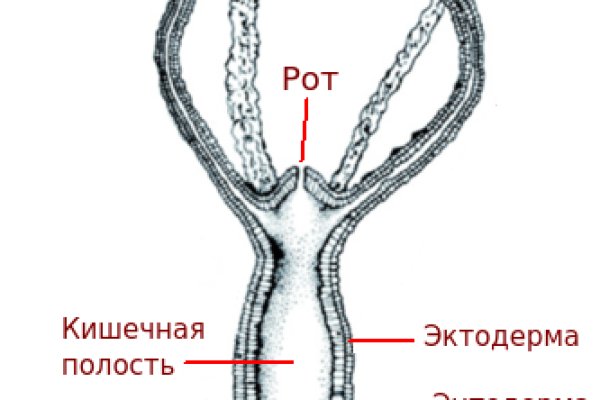 Ссылки для tor