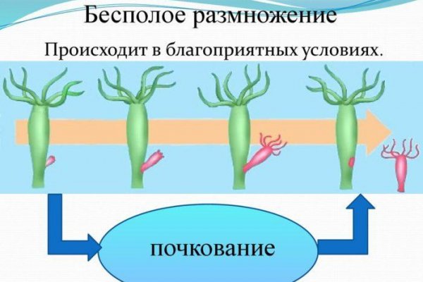 Как зарегистрироваться на кракене