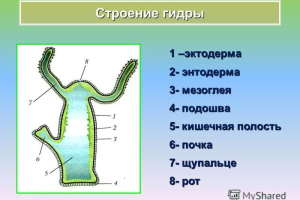 Кракен современный даркнет